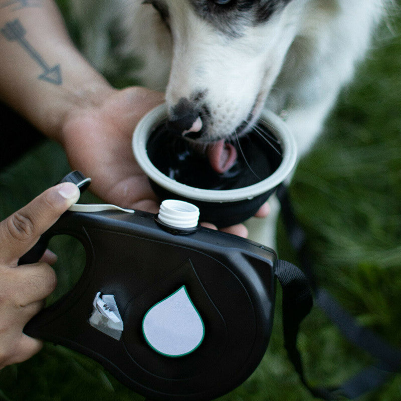 3-in-1 Dog Leash with Built-in Water Bottle, Collapsible Bowl & Poop Bag Dispenser