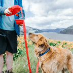 3-in-1 Dog Leash with Built-in Water Bottle, Collapsible Bowl & Poop Bag Dispenser🎒