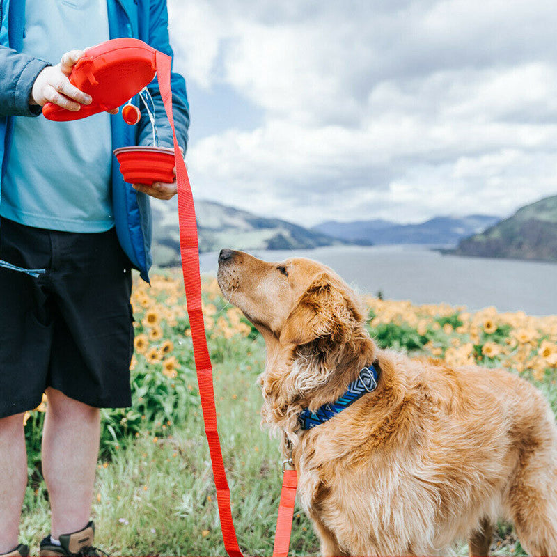 3-in-1 Dog Leash with Built-in Water Bottle, Collapsible Bowl & Poop Bag Dispenser