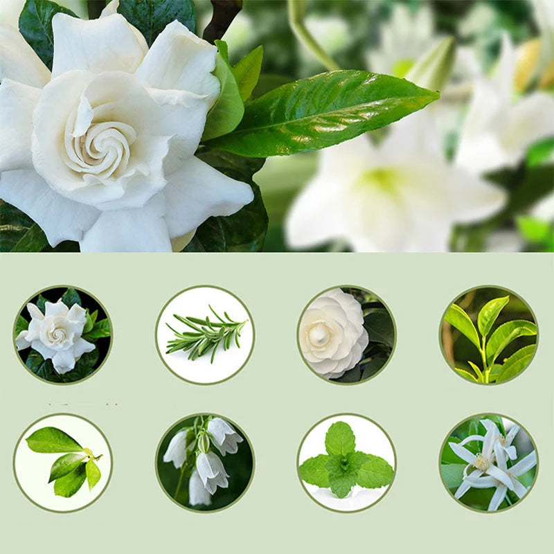 Automatic Aromatherapy Diffuser – Upsell